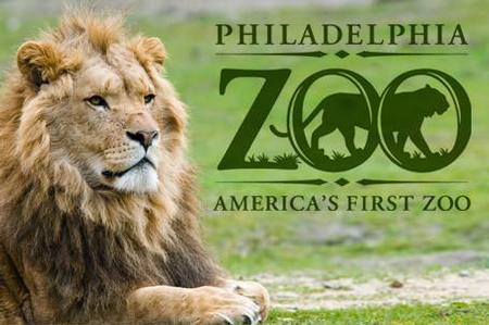 Pack of 5 Philadelphia Zoo Tickets valid for admissison or parking