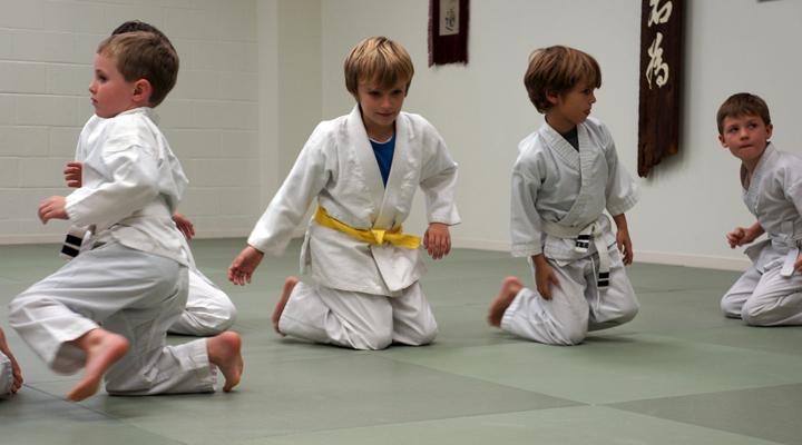 Children's Aikido Martial Arts