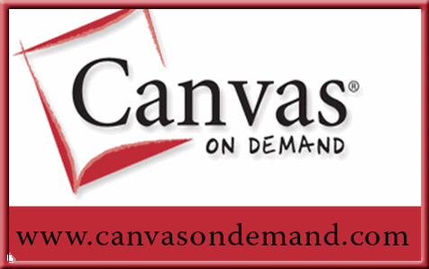$100 Canvas on Demand Gift Certificate PLUS MORE