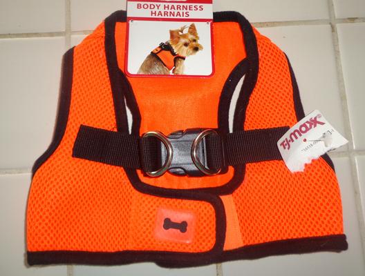 Orange dog harness.