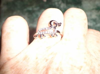 Doxie ring