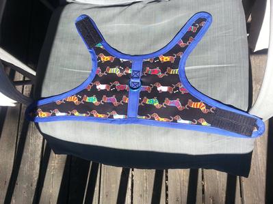 Custom Fit Dog Harness/for  Boy OR Girl