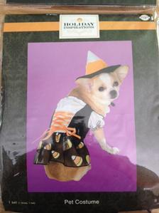 Candy Corn Witch Dog Costume for Halloween Size Small (S) - New w/ Tags!