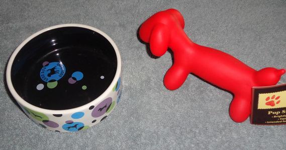 Dog Bowl and Squeaky Toy