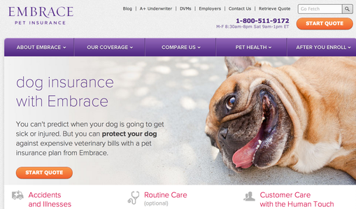 Embrace Pet Insurance 2 months free!