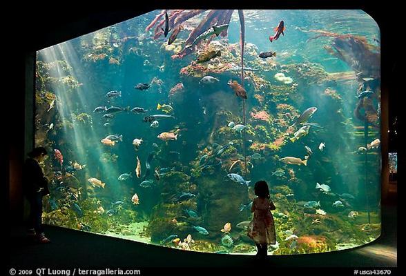 California Academy of Sciences Group Adventure Package 
