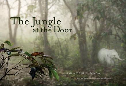 Joan Myers, The Jungle at the Door: A Glimpse of Wild India