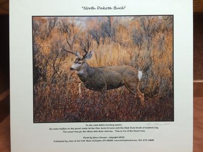 North Dakota Buck - Signed Poster