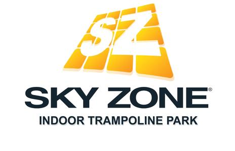 Sky Zone Birthday Party
