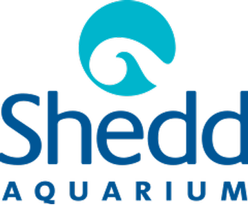 4 Tickets to Shedd Aquarium