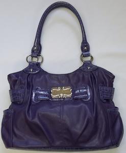 Perfectly Purple Sienna Ricchi bag