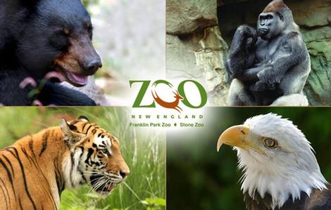 Zoo New England Family Four Pack of Tickets