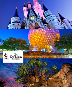 Four Disney World Park Hopper Passes