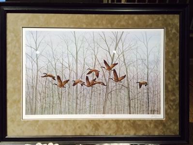 Don Pettigrew-Canadas in Flight, signed, Numbered, Framed Print