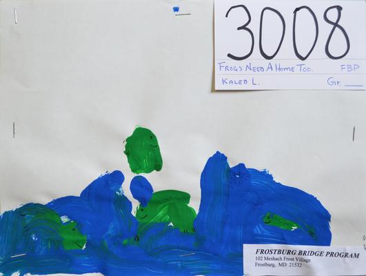 Frogs Need a Home Too! - by Kaleb L. from Frostburg Bridge Program