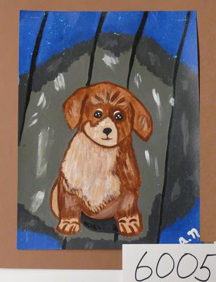 Every Animal Needs a Home - by Ally N. from Braddock Middle School