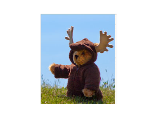 Vermont Teddy Bear / Moose costume