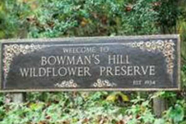 Bowman's Hill Wildflower Family Preserve Membership