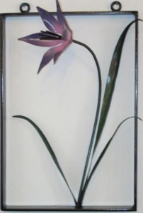 Flower in a Frame