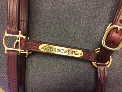 Jo's Premium Leather Show Halter with Engraved Plate