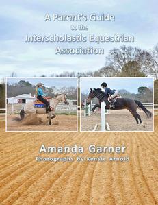 TEAM BOX - 10 copies of A Parent's Guide to the IEA by Amanda Garner 
