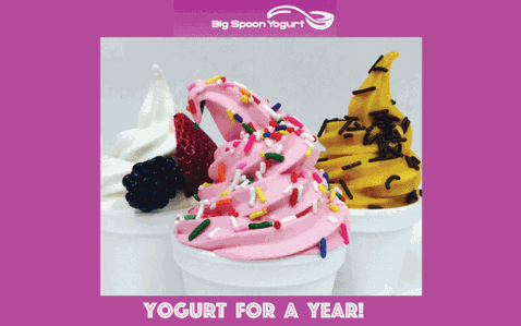 Big Spoon Yogurt