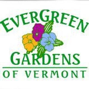 $25 Gift Certificate for Evergreen Gardens of Vermont in Stowe