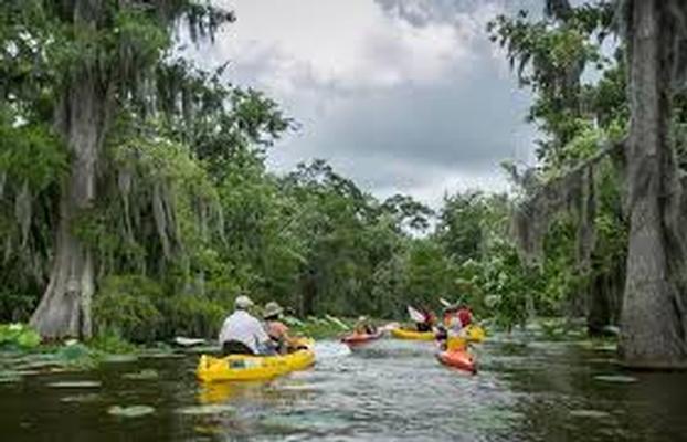 Kayaks and Gators