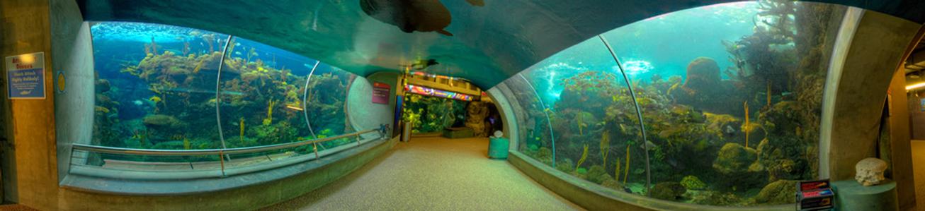 Florida Aquarium Admission for Two and Book
