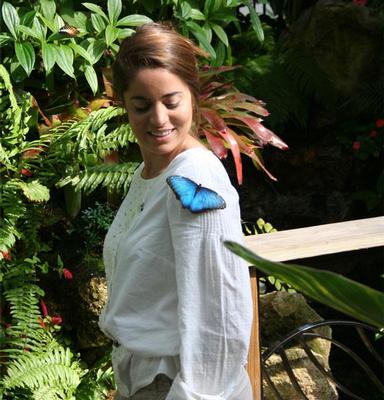 Butterfly Rainforest tickets, Adventures in Paradise Petting Zoo tickets and a Children's book