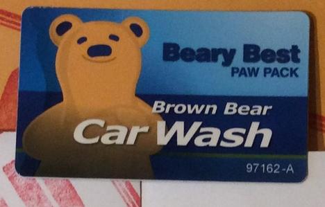 teddy bear car wash