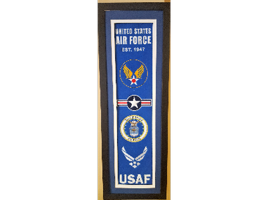 U.S AIR FORCE