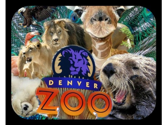 Family 4 pack of Denver Zoo Day Pass Tickets