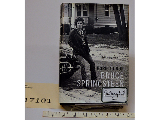 Bruce Springsteen Book