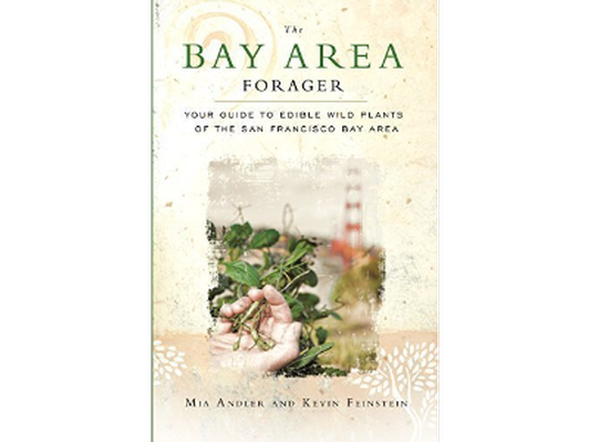 Wildfood Walk w Vilda Executive Director and Author of Bay Area Forager Mia Andler