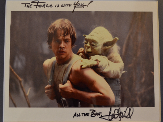 Mark Hamill Signed Luke Skywalker & Yoda Photo Framed