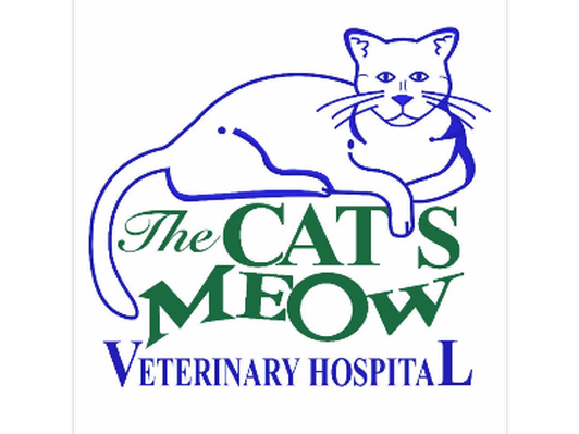 The Cat's Meow Veterinary Visits