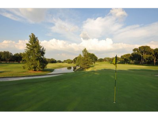 Shady Oaks Golf
