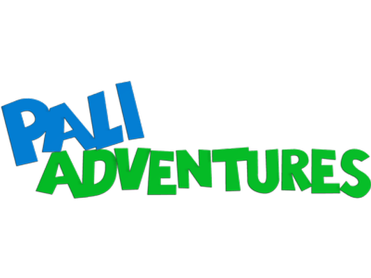 Pali Adventures Sleep Away Camp $800 credit