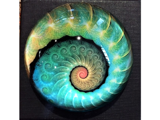 Cochlea crystal paperweight
