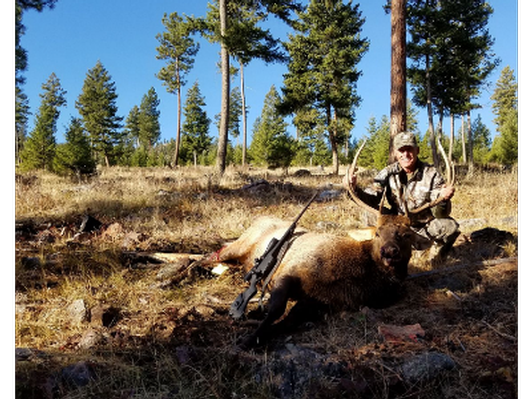 Montana Elk Hunt!