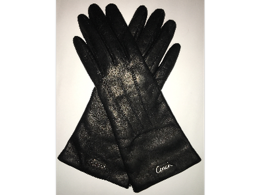 Leather Coach Gloves
