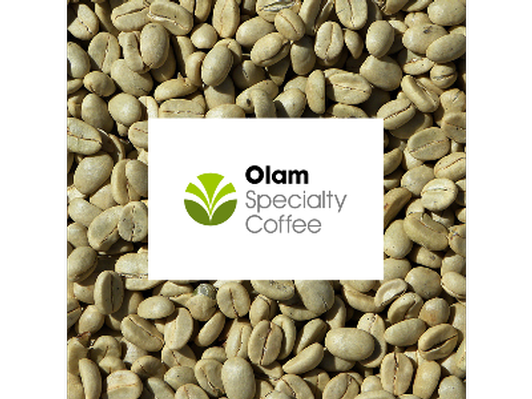 Olam green coffee