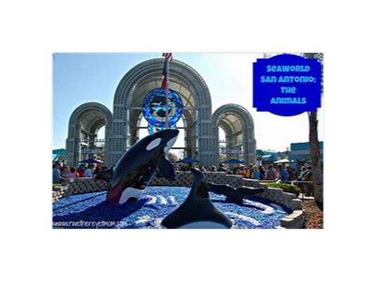 SeaWorld San Antonio Day Passes