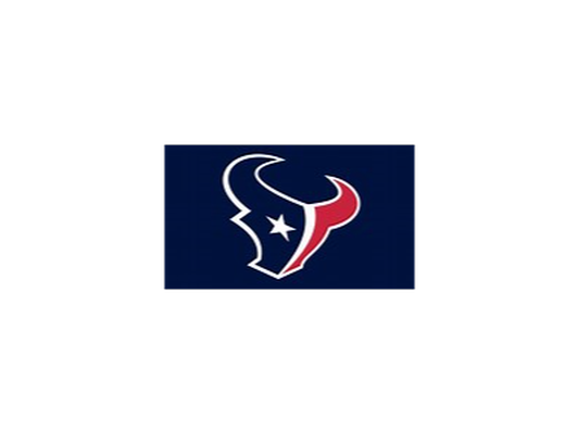 Houston Texans Suite