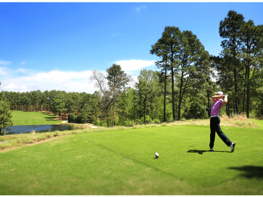 Private Two Hour Golf Lesson at Pinehurst's Pine Needles Lodge and Golf Club