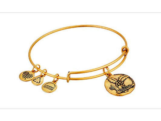 Ruler of the Woods: Crowned with Light 'Holly' Bangle by Alex and Ani