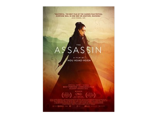 The Assassin Movie Poster 