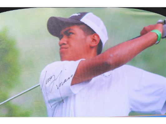 BiddingOwl - Utah Golf Foundation Auction