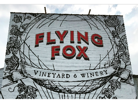 Tasting for Four at Flying Fox Vineyard